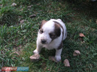 Romania Trip Photos